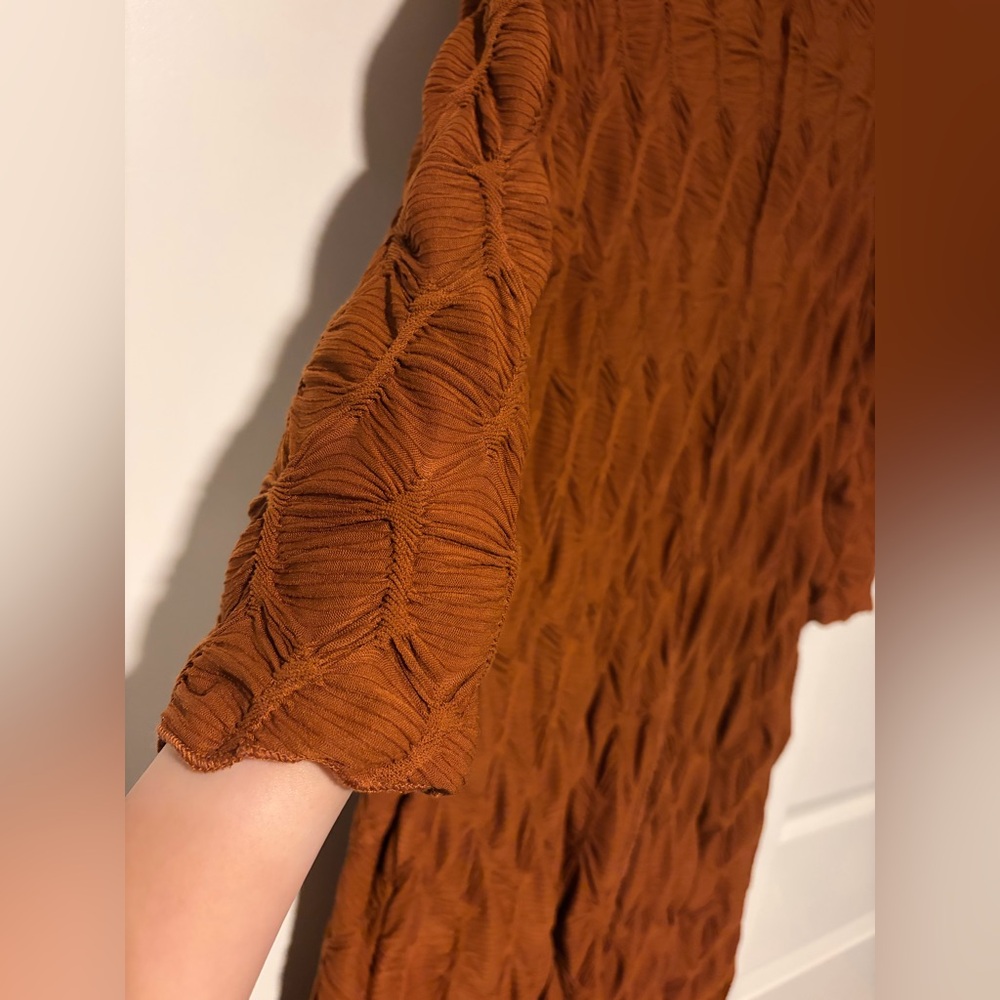 Elegant Rust Orange Brown Textured Women's Dress - Picture 4 of 7
